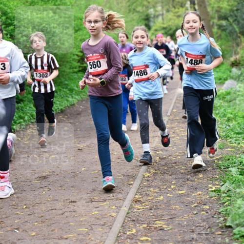 19.04.2026 - Hammer Lauf Dr. Thomas Lammeyer http://msf.ph/oto/9527858 19.04.2026 09:26:40 Laufen 1553, 1302, 455, 560, 382, 1486, 1488 meine-sportfotos.de