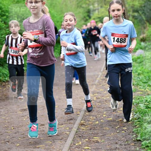 19.04.2026 - Hammer Lauf Dr. Thomas Lammeyer http://msf.ph/oto/9527864 19.04.2026 09:26:41 Laufen 1488, 1094, 1302 meine-sportfotos.de