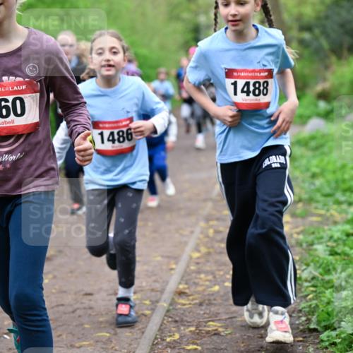 19.04.2026 - Hammer Lauf Dr. Thomas Lammeyer http://msf.ph/oto/9527868 19.04.2026 09:26:41 Laufen 560, 1486, 1488 meine-sportfotos.de