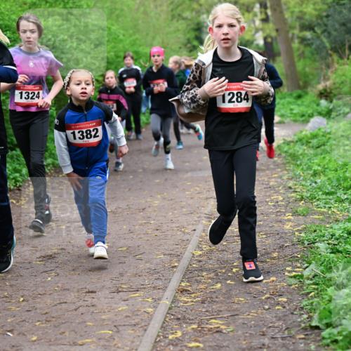 19.04.2026 - Hammer Lauf Dr. Thomas Lammeyer http://msf.ph/oto/9527879 19.04.2026 09:26:42 Laufen 1324, 1382, 1284 meine-sportfotos.de