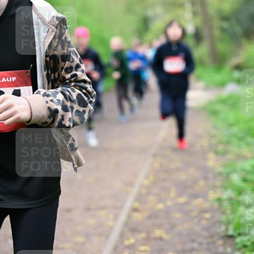 19.04.2026 - Hammer Lauf Dr. Thomas Lammeyer http://msf.ph/oto/9527893 19.04.2026 09:26:44 Laufen  meine-sportfotos.de