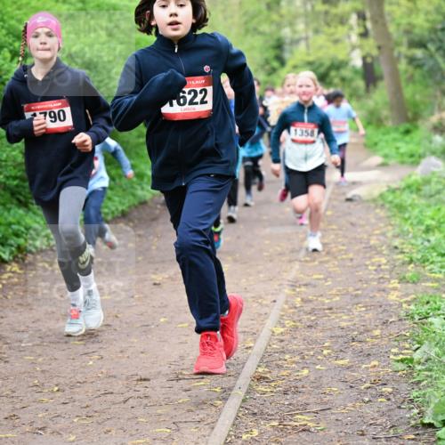 19.04.2026 - Hammer Lauf Dr. Thomas Lammeyer http://msf.ph/oto/9527905 19.04.2026 09:26:45 Laufen 790, 622, 1358 meine-sportfotos.de