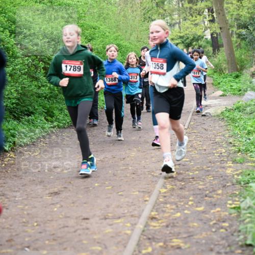 19.04.2026 - Hammer Lauf Dr. Thomas Lammeyer http://msf.ph/oto/9527913 19.04.2026 09:26:46 Laufen 1789, 1388, 313, 1358, 1511 meine-sportfotos.de