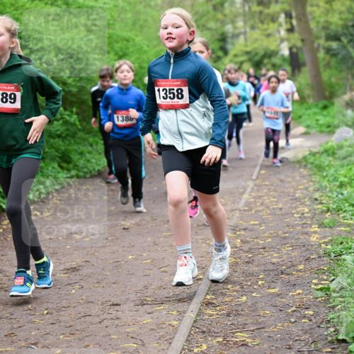 19.04.2026 - Hammer Lauf Dr. Thomas Lammeyer http://msf.ph/oto/9527919 19.04.2026 09:26:46 Laufen 1789, 1386, 1358 meine-sportfotos.de