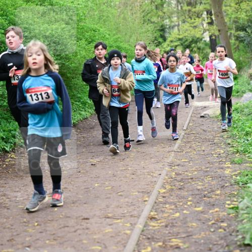 19.04.2026 - Hammer Lauf Dr. Thomas Lammeyer http://msf.ph/oto/9527941 19.04.2026 09:26:48 Laufen 1313, 164, 1240, 1511, 924, 1406 meine-sportfotos.de