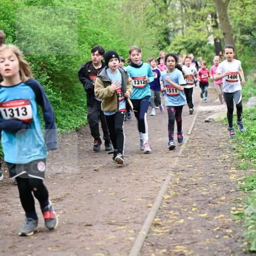 19.04.2026 - Hammer Lauf Dr. Thomas Lammeyer http://msf.ph/oto/9527944 19.04.2026 09:26:49 Laufen 1313, 962, 1406, 1312, 1779, 1511 meine-sportfotos.de