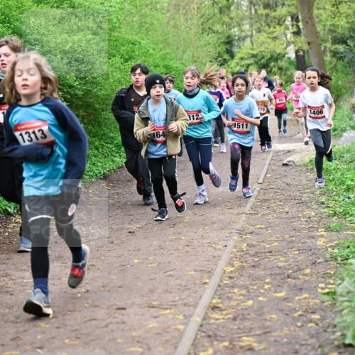 19.04.2026 - Hammer Lauf Dr. Thomas Lammeyer http://msf.ph/oto/9527945 19.04.2026 09:26:48 Laufen 1313, 164, 312, 924, 892, 779, 1511, 1406 meine-sportfotos.de