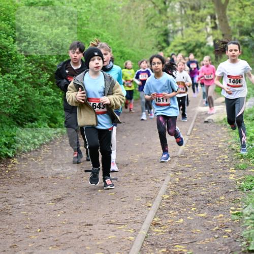 19.04.2026 - Hammer Lauf Dr. Thomas Lammeyer http://msf.ph/oto/9527951 19.04.2026 09:26:49 Laufen 643, 1511, 1406 meine-sportfotos.de