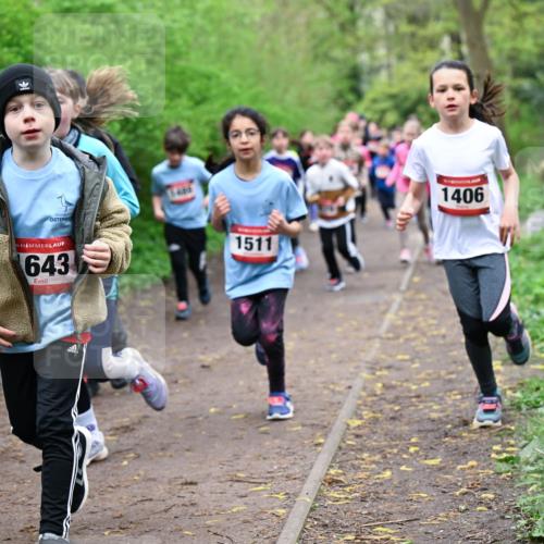 19.04.2026 - Hammer Lauf Dr. Thomas Lammeyer http://msf.ph/oto/9527962 19.04.2026 09:26:50 Laufen 643, 1511, 1406 meine-sportfotos.de