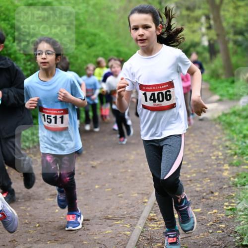 19.04.2026 - Hammer Lauf Dr. Thomas Lammeyer http://msf.ph/oto/9527969 19.04.2026 09:26:51 Laufen 1511, 1406 meine-sportfotos.de