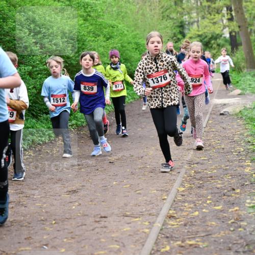 19.04.2026 - Hammer Lauf Dr. Thomas Lammeyer http://msf.ph/oto/9527980 19.04.2026 09:26:53 Laufen 1512, 839, 873, 1376, 924 meine-sportfotos.de
