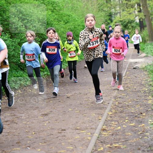 19.04.2026 - Hammer Lauf Dr. Thomas Lammeyer http://msf.ph/oto/9527981 19.04.2026 09:26:53 Laufen 1489, 1512, 839, 873, 1376, 924 meine-sportfotos.de