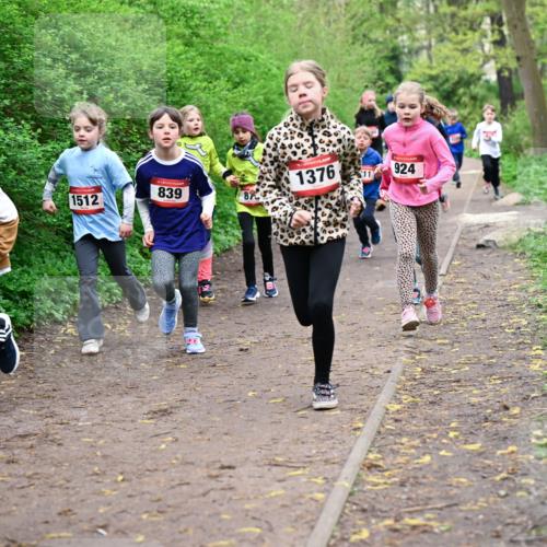 19.04.2026 - Hammer Lauf Dr. Thomas Lammeyer http://msf.ph/oto/9527983 19.04.2026 09:26:53 Laufen 489, 1512, 839, 1376, 924 meine-sportfotos.de