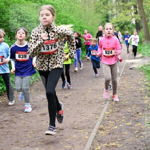 19.04.2026 - Hammer Lauf Dr. Thomas Lammeyer http://msf.ph/oto/9527987 19.04.2026 09:26:54 Laufen 1512, 839, 1376, 811, 924 meine-sportfotos.de