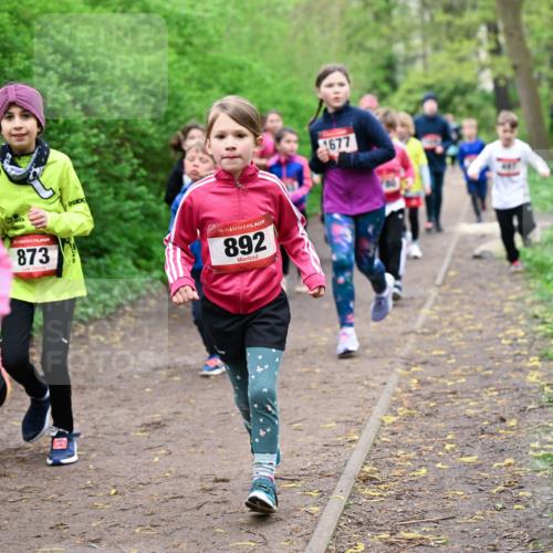 19.04.2026 - Hammer Lauf Dr. Thomas Lammeyer http://msf.ph/oto/9528006 19.04.2026 09:26:55 Laufen 873, 892, 1677 meine-sportfotos.de