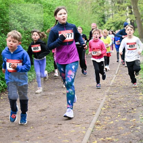 19.04.2026 - Hammer Lauf Dr. Thomas Lammeyer http://msf.ph/oto/9528016 19.04.2026 09:26:56 Laufen 460, 577, 822, 497 meine-sportfotos.de