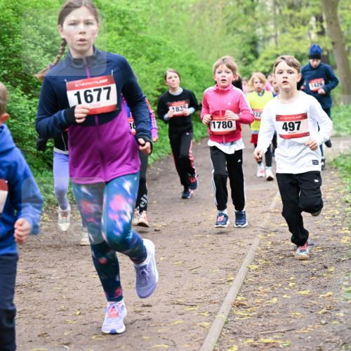 19.04.2026 - Hammer Lauf Dr. Thomas Lammeyer http://msf.ph/oto/9528021 19.04.2026 09:26:57 Laufen 811, 1677, 1835, 1780, 497, 1426 meine-sportfotos.de