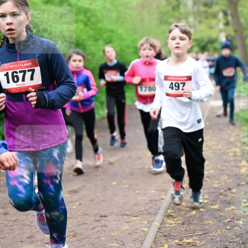 19.04.2026 - Hammer Lauf Dr. Thomas Lammeyer http://msf.ph/oto/9528025 19.04.2026 09:26:57 Laufen 1677, 1780, 497 meine-sportfotos.de