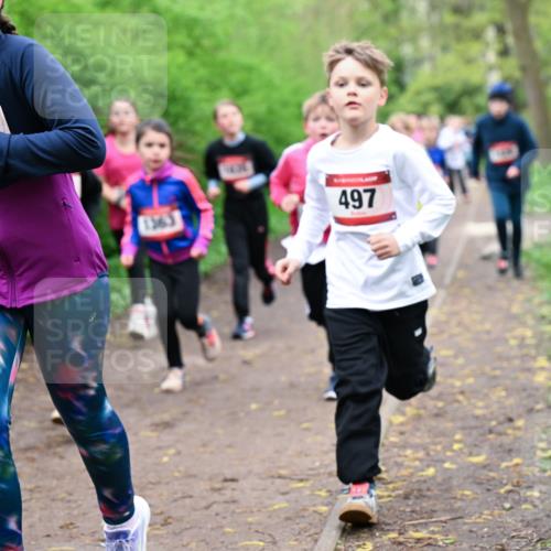 19.04.2026 - Hammer Lauf Dr. Thomas Lammeyer http://msf.ph/oto/9528026 19.04.2026 09:26:57 Laufen 1363, 436, 497 meine-sportfotos.de