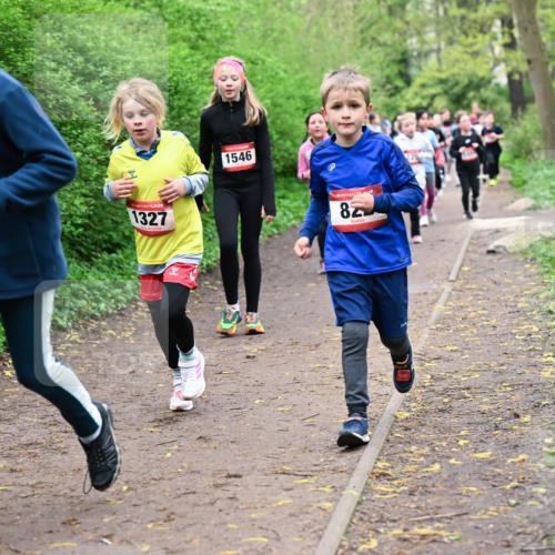 19.04.2026 - Hammer Lauf Dr. Thomas Lammeyer http://msf.ph/oto/9528056 19.04.2026 09:27:01 Laufen 1426, 1327, 1546 meine-sportfotos.de