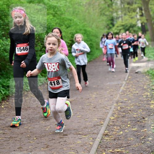 19.04.2026 - Hammer Lauf Dr. Thomas Lammeyer http://msf.ph/oto/9528076 19.04.2026 09:27:03 Laufen 1546, 418 meine-sportfotos.de