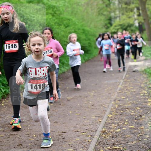 19.04.2026 - Hammer Lauf Dr. Thomas Lammeyer http://msf.ph/oto/9528079 19.04.2026 09:27:03 Laufen 1546, 1438, 1418 meine-sportfotos.de