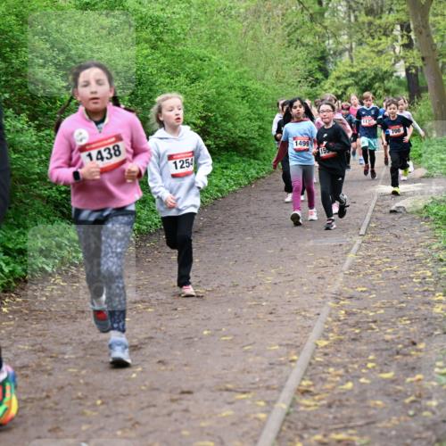 19.04.2026 - Hammer Lauf Dr. Thomas Lammeyer http://msf.ph/oto/9528086 19.04.2026 09:27:04 Laufen 1546, 1438, 1254, 1499, 155, 113, 700 meine-sportfotos.de