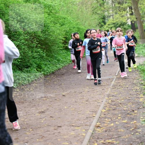 19.04.2026 - Hammer Lauf Dr. Thomas Lammeyer http://msf.ph/oto/9528102 19.04.2026 09:27:06 Laufen 1813, 1551, 553, 700, 1753 meine-sportfotos.de