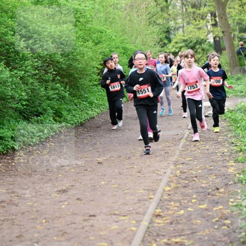 19.04.2026 - Hammer Lauf Dr. Thomas Lammeyer http://msf.ph/oto/9528107 19.04.2026 09:27:06 Laufen 1194, 1813, 1551, 1753 meine-sportfotos.de