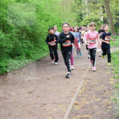 19.04.2026 - Hammer Lauf Dr. Thomas Lammeyer http://msf.ph/oto/9528110 19.04.2026 09:27:06 Laufen 1813, 1551, 1753, 700 meine-sportfotos.de