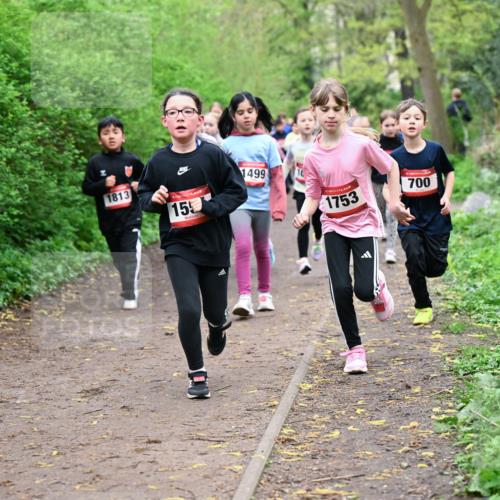 19.04.2026 - Hammer Lauf Dr. Thomas Lammeyer http://msf.ph/oto/9528120 19.04.2026 09:27:07 Laufen 1813, 155, 1499, 1753, 700 meine-sportfotos.de