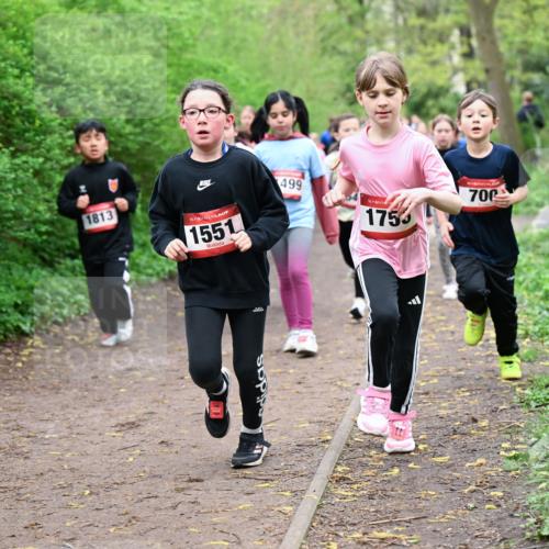 19.04.2026 - Hammer Lauf Dr. Thomas Lammeyer http://msf.ph/oto/9528126 19.04.2026 09:27:08 Laufen 1813, 1551, 499, 1755, 700 meine-sportfotos.de