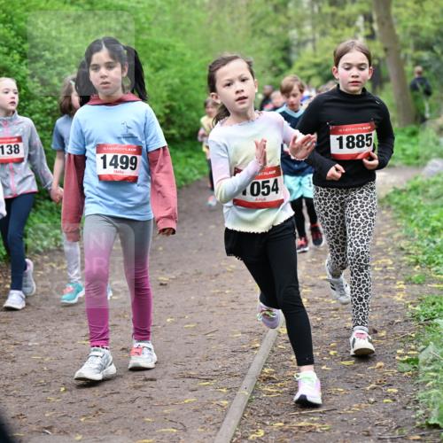 19.04.2026 - Hammer Lauf Dr. Thomas Lammeyer http://msf.ph/oto/9528134 19.04.2026 09:27:10 Laufen 361, 138, 1499, 054, 1885 meine-sportfotos.de