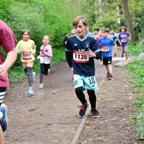 19.04.2026 - Hammer Lauf Dr. Thomas Lammeyer http://msf.ph/oto/9528152 19.04.2026 09:27:12 Laufen 1194, 1097, 1135, 1019 meine-sportfotos.de