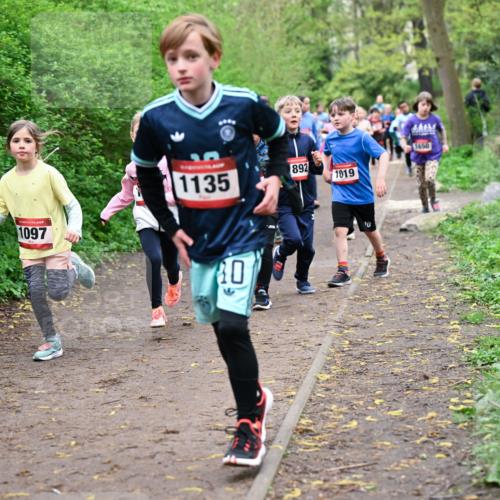 19.04.2026 - Hammer Lauf Dr. Thomas Lammeyer http://msf.ph/oto/9528163 19.04.2026 09:27:13 Laufen 1097, 1135, 892, 1019, 1650 meine-sportfotos.de