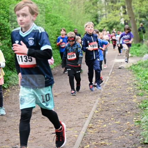 19.04.2026 - Hammer Lauf Dr. Thomas Lammeyer http://msf.ph/oto/9528166 19.04.2026 09:27:13 Laufen 1097, 1135, 1399, 1892 meine-sportfotos.de