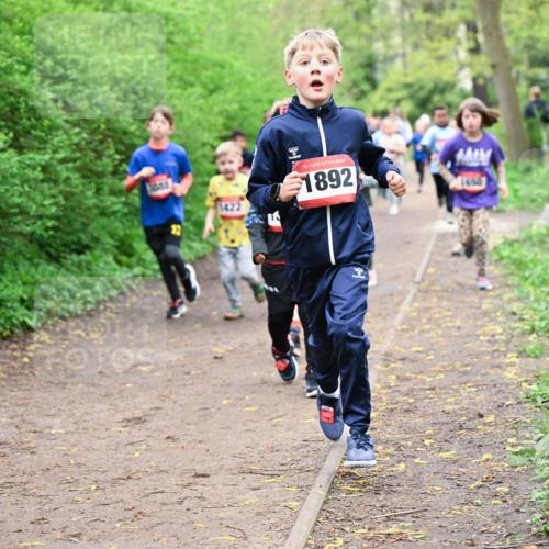 19.04.2026 - Hammer Lauf Dr. Thomas Lammeyer http://msf.ph/oto/9528177 19.04.2026 09:27:14 Laufen 1892 meine-sportfotos.de