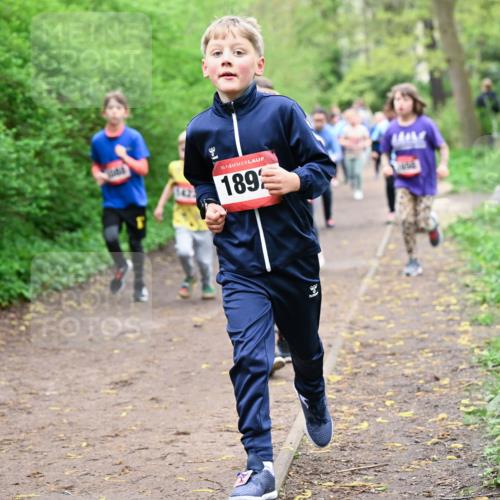 19.04.2026 - Hammer Lauf Dr. Thomas Lammeyer http://msf.ph/oto/9528181 19.04.2026 09:27:15 Laufen 189 meine-sportfotos.de