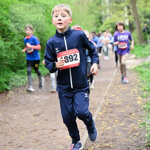 19.04.2026 - Hammer Lauf Dr. Thomas Lammeyer http://msf.ph/oto/9528183 19.04.2026 09:27:15 Laufen 892 meine-sportfotos.de