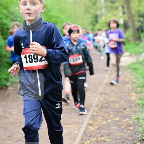 19.04.2026 - Hammer Lauf Dr. Thomas Lammeyer http://msf.ph/oto/9528187 19.04.2026 09:27:15 Laufen 1892, 1399 meine-sportfotos.de