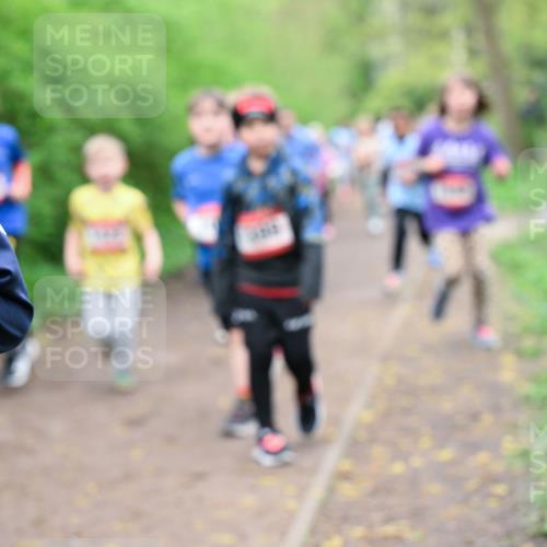 19.04.2026 - Hammer Lauf Dr. Thomas Lammeyer http://msf.ph/oto/9528189 19.04.2026 09:27:16 Laufen  meine-sportfotos.de