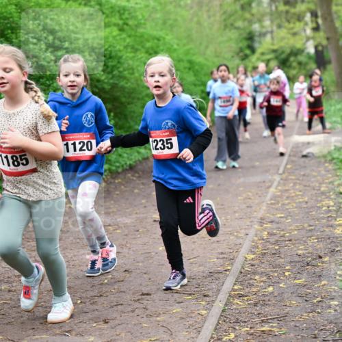 19.04.2026 - Hammer Lauf Dr. Thomas Lammeyer http://msf.ph/oto/9528245 19.04.2026 09:27:21 Laufen 1185, 1120, 1235 meine-sportfotos.de