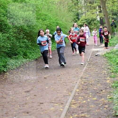 19.04.2026 - Hammer Lauf Dr. Thomas Lammeyer http://msf.ph/oto/9528257 19.04.2026 09:27:22 Laufen 547, 1771, 1447, 487, 496, 1248, 1416, 961 meine-sportfotos.de