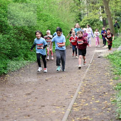 19.04.2026 - Hammer Lauf Dr. Thomas Lammeyer http://msf.ph/oto/9528259 19.04.2026 09:27:23 Laufen 1487, 852, 177, 1447, 1248, 961 meine-sportfotos.de