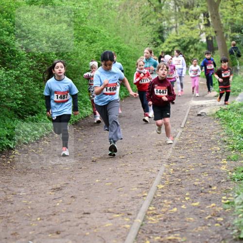 19.04.2026 - Hammer Lauf Dr. Thomas Lammeyer http://msf.ph/oto/9528264 19.04.2026 09:27:23 Laufen 1487, 1771, 1496, 1447, 1547, 961 meine-sportfotos.de