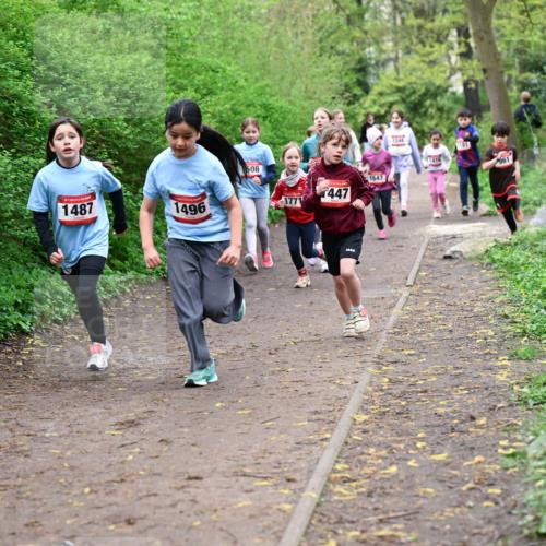 19.04.2026 - Hammer Lauf Dr. Thomas Lammeyer http://msf.ph/oto/9528269 19.04.2026 09:27:24 Laufen 1487, 1496, 508, 1547, 447, 1771, 1248, 961 meine-sportfotos.de