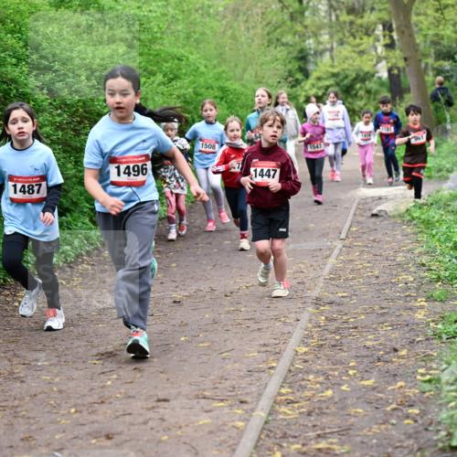 19.04.2026 - Hammer Lauf Dr. Thomas Lammeyer http://msf.ph/oto/9528270 19.04.2026 09:27:24 Laufen 1487, 1496, 1508, 1447, 1547, 961 meine-sportfotos.de