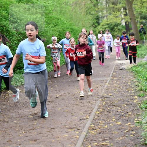 19.04.2026 - Hammer Lauf Dr. Thomas Lammeyer http://msf.ph/oto/9528272 19.04.2026 09:27:24 Laufen 852, 1487, 150, 961, 1547, 144 meine-sportfotos.de