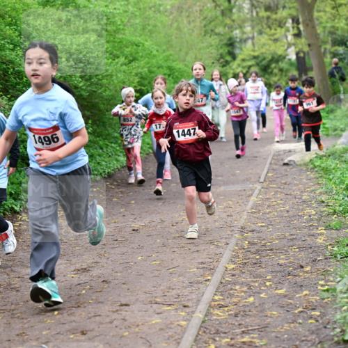 19.04.2026 - Hammer Lauf Dr. Thomas Lammeyer http://msf.ph/oto/9528274 19.04.2026 09:27:24 Laufen 1487, 1496, 852, 961, 1447 meine-sportfotos.de
