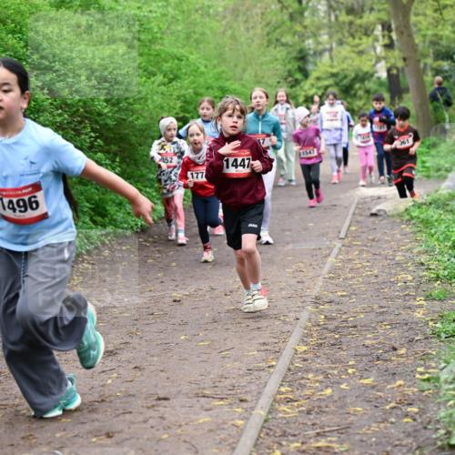 19.04.2026 - Hammer Lauf Dr. Thomas Lammeyer http://msf.ph/oto/9528275 19.04.2026 09:27:24 Laufen 148, 1496, 1547, 452, 177, 1447 meine-sportfotos.de